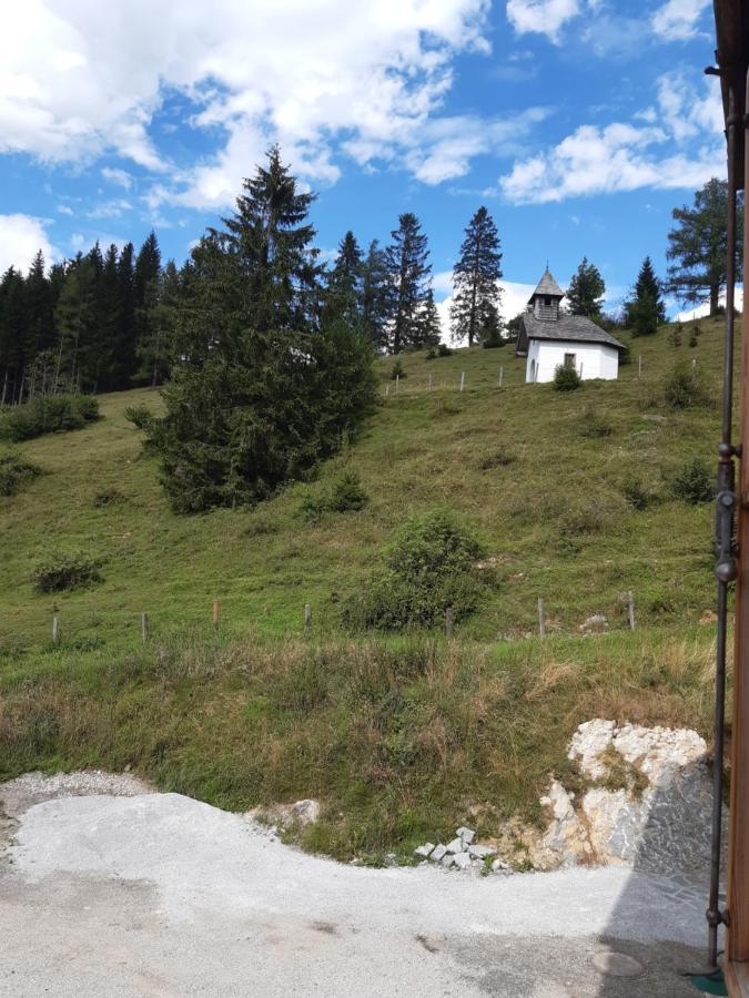 Sonnleit'N Zimmer 6 Abtenau Dış mekan fotoğraf