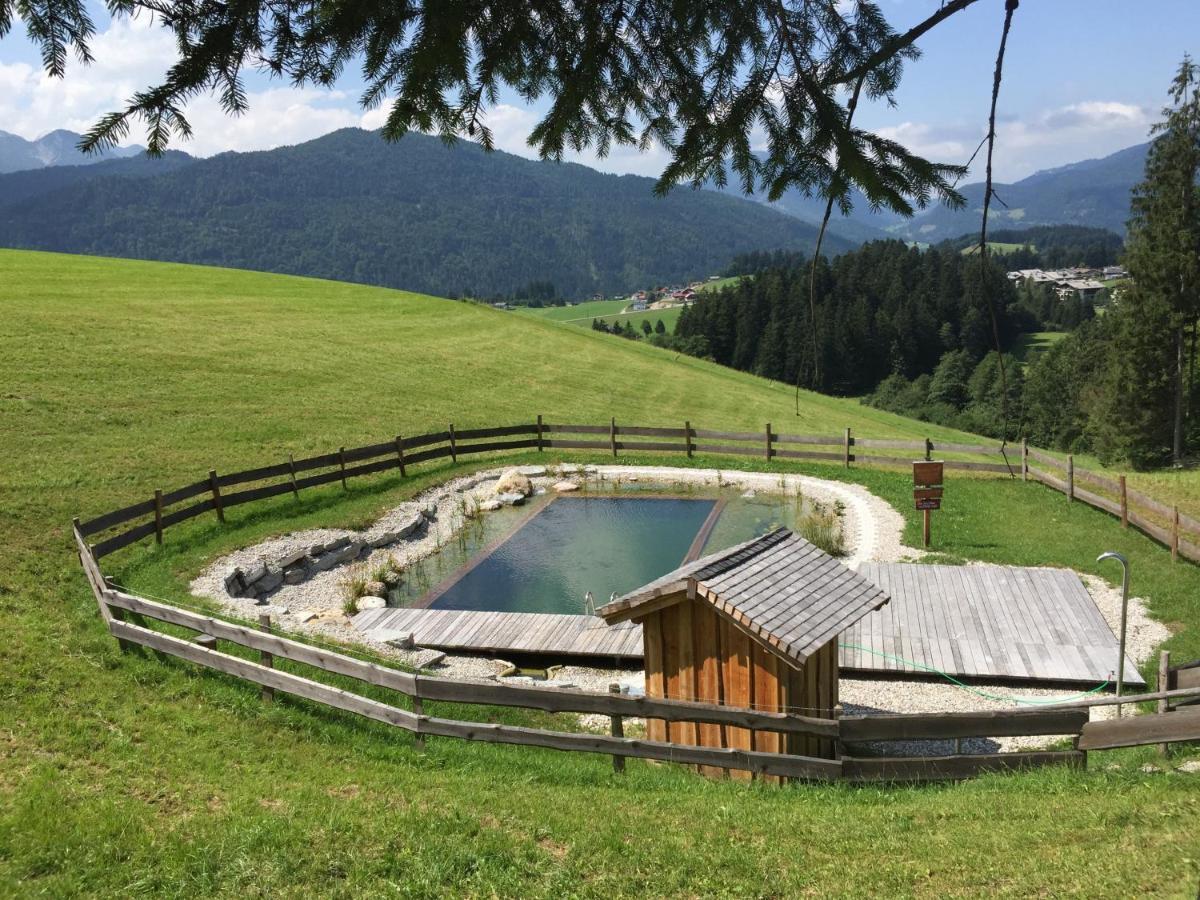 Sonnleit'N Zimmer 6 Abtenau Dış mekan fotoğraf